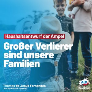 Read more about the article Haushaltsentwurf der Ampel – Der große Verlierer sind unsere Familien